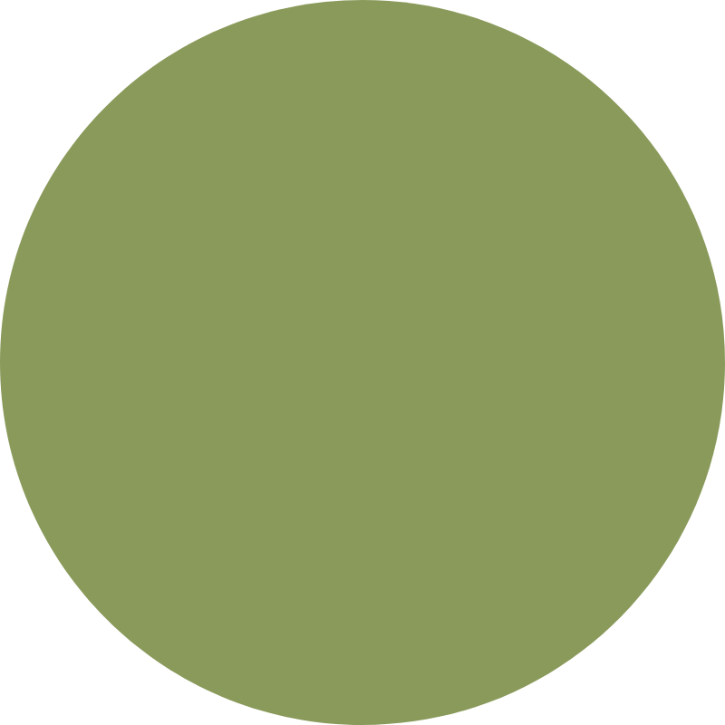 Jella™ Seamless Wire-Free Bra